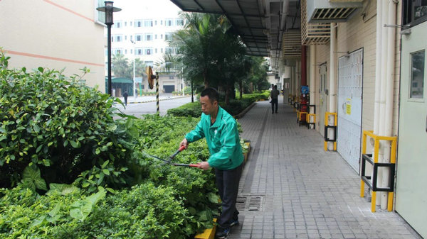 小區(qū)園林綠化3